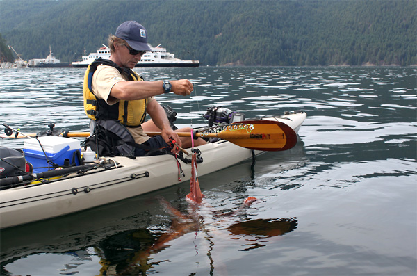 Photo of a kayak fishing guide releasing his catch